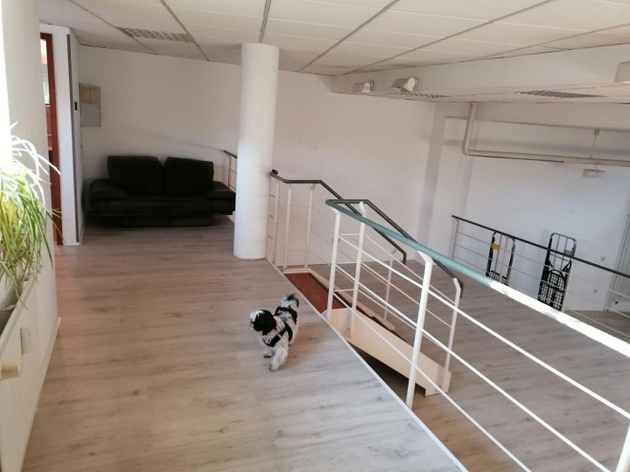 Attraktives vielseitiges Ladenlokal in Rastatt 80,51 m² große Schaufensterfront – Foto 4