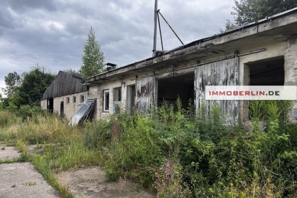 IMMOBERLIN.DE — 5,3 гектара для сільського та/або лісового господарства чи енергетики