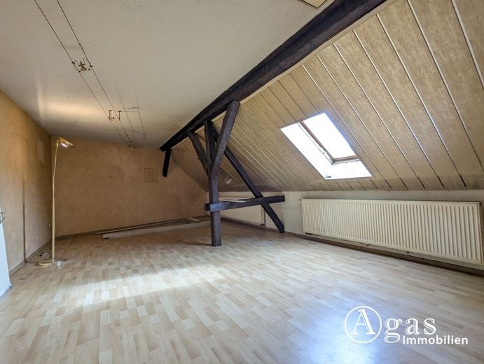 Einfamilienhaus mit Nebengebäuden auf großzügigem Grundstück – Atelier Dachgeschoss