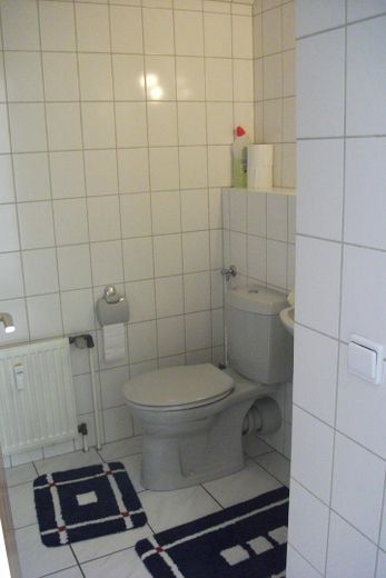 Klimatisierte mod.lichtdurchfl.DG-Whg. Pelleto+PV-Anlage,unverb.FERNSICHT+3-Fachvergl. – Gäste-WC