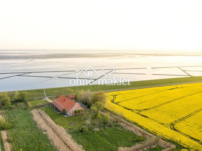 Vermietete Denkmal-FeWo am Nordseedeich – 4,95★, provisionsfrei, ~250 Nächte/Jahr – Foto 1