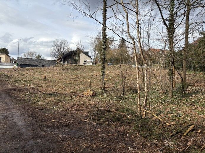 Röttenbach bei Heßdorf sehr schönes Baugrundstück mit ruhiger Waldrandlage – Baugrundstück Röttenbach 006