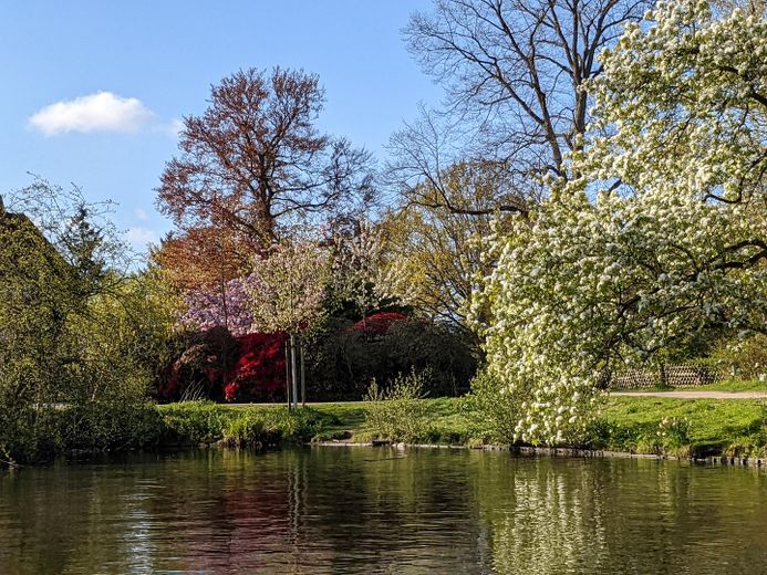 Przystań w Bürgerpark – jedno z najpiękniejszych miejsc w Bremerhaven – Zdjęcie 23