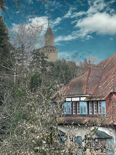 Burgblick