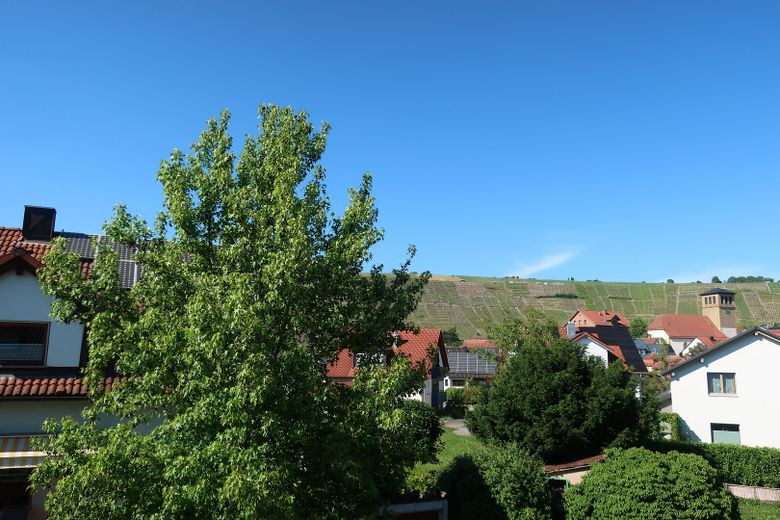 Ausblick auf die Weinberge