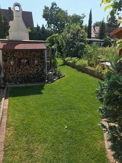 Provisionsfrei - Einfamilienhaus mit großen Garten - MA Gartenstadt – Foto 17