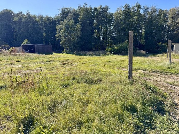 HORN IMMOBILIEN ++ Baugrundstücke in Eggesin – Grundstück