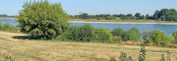 Unmittelbare Rheinlage