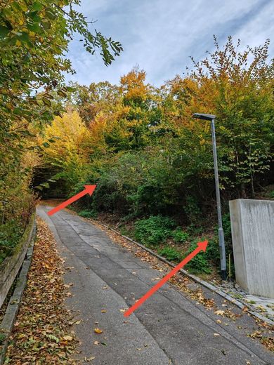 Attraktives Baugrundstück in Hanglage in Pfarrkirchen – Bild 3