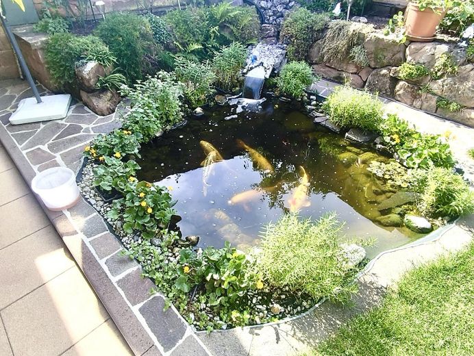 Örtülü teraslı, koi havuzlu bahçeli, garajlı ve park yeri bulunan güzel 5 odalı mutfaklı banyo/WC’li daire – aidat yok – Koi-Teich