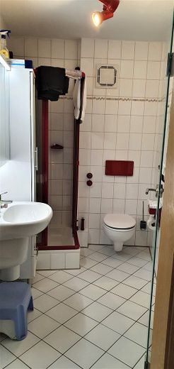 Viel Platz für die Familie am Marienbergpark – 160 m², 6 Zimmer, 2 Bäder, Südbalkon & Garage – Kleines Bad im 1. OG