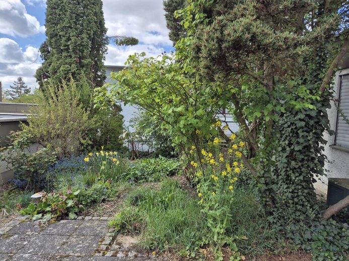 bez prowizji - bezbarierowy bungalow w Würzburg-Lengfeld – Garten