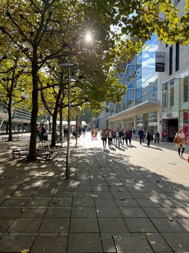 Repräsentative exklusive Bürofläche auf der Königstraße – Königstr