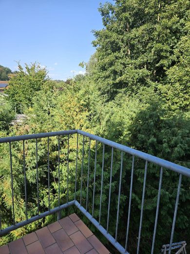 Schöne renovierte Wohnung – Balkon