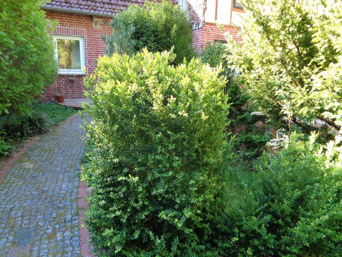 Anlieger Terrassenwohnung  Schneverdingen OT. – Zugang zum separaten Eingang