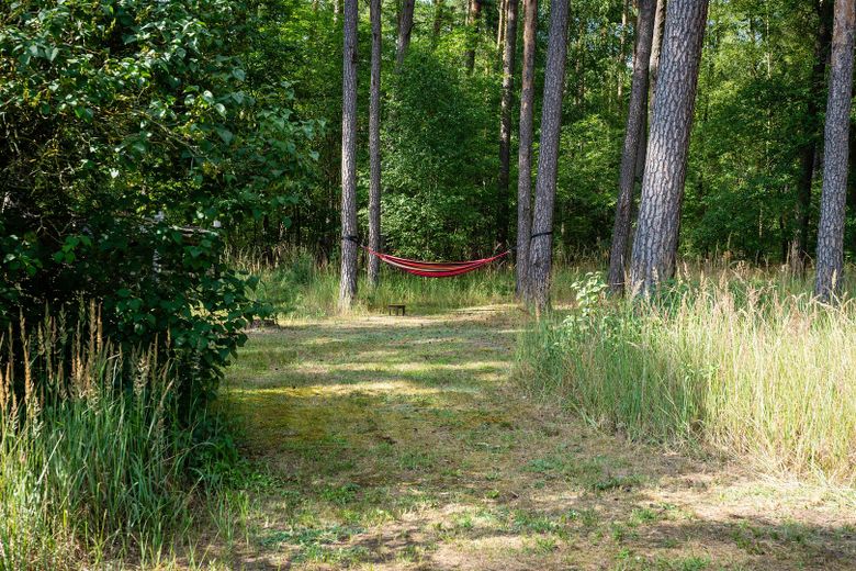 Hängematte im eigenen Wald