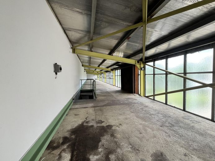 Waren-Umschlagplatz/Lager/Depot/Halle-Grd.9.536m²/ Nutzf.3.145m²-Dreiländereck DE/PL/CZ-Lkr. Görlitz – Lager OG - EG+OG 250m²