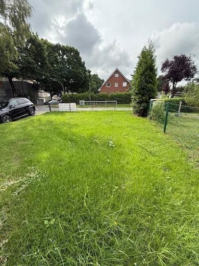 Rasen im Vorgarten