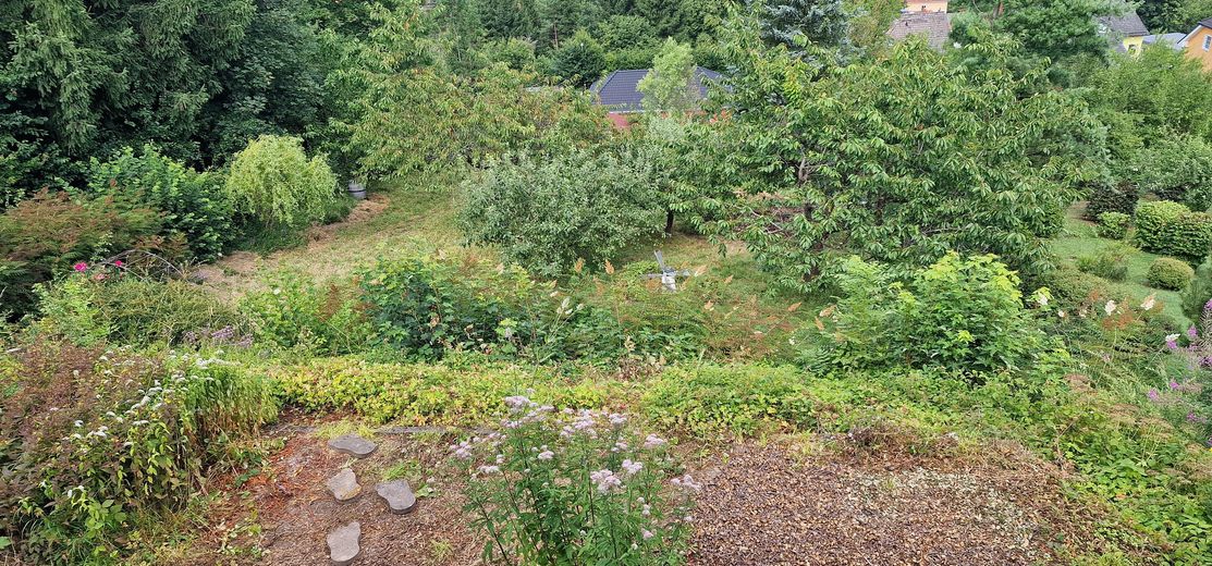 Schönes Freistehendes Haus in Bad Sachsa-Steina – Garten_Bild 2