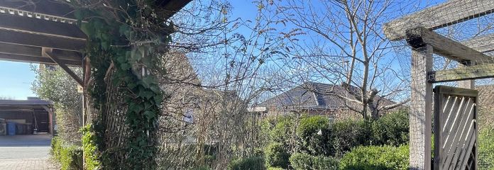 Blick in den Garten