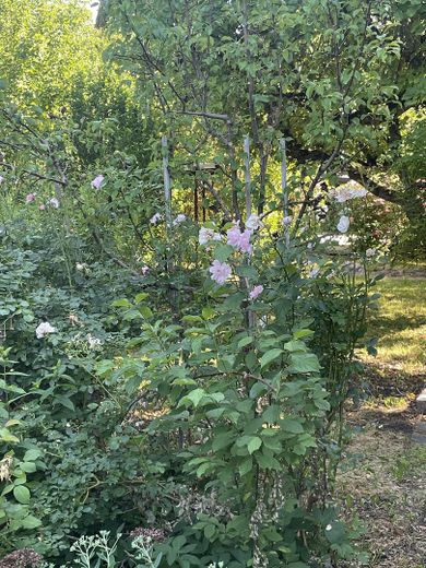Freizeit Grundstück – Foto 7