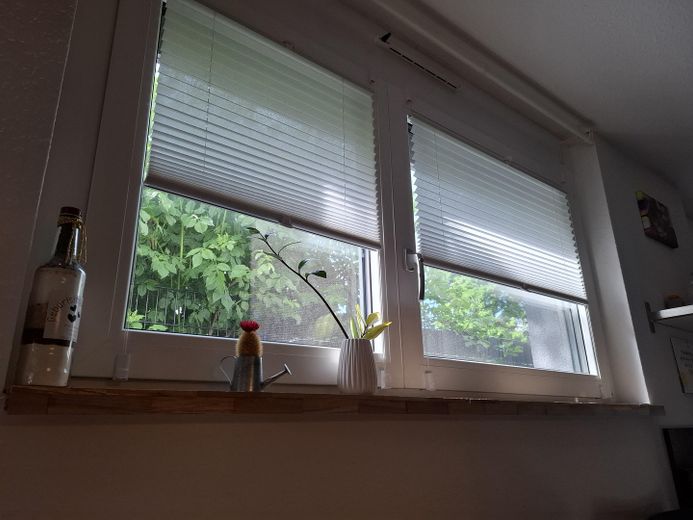 Blick ins Grün vom Esstisch