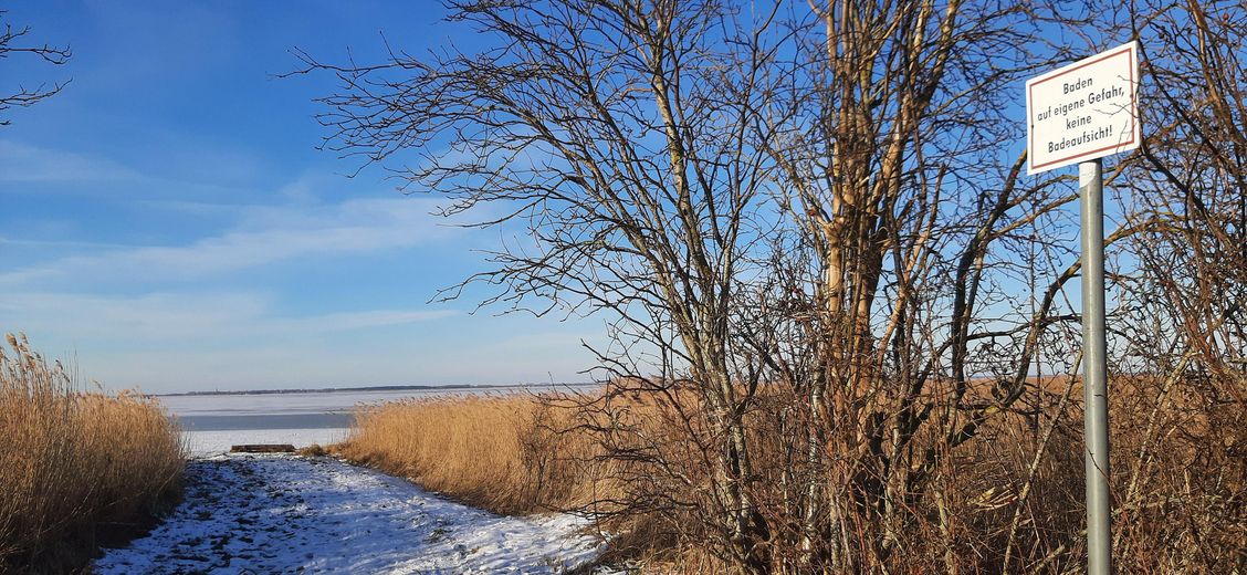 Ostsee - Boddenküste - Wasserblick - Baugrundstück - Ribnitz-Damgarten – Foto 4