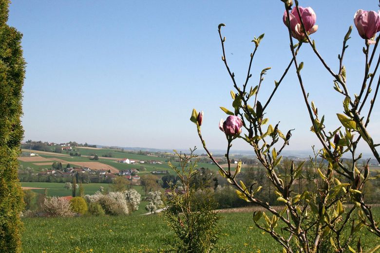 Aussichtsreich: der Garten