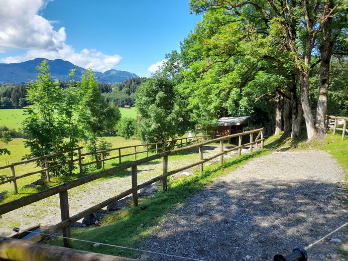 Traumimmobilie für Pferdeliebhaber im Allgäu mit Reithalle und einmaligem Alpenblick – Paddocks