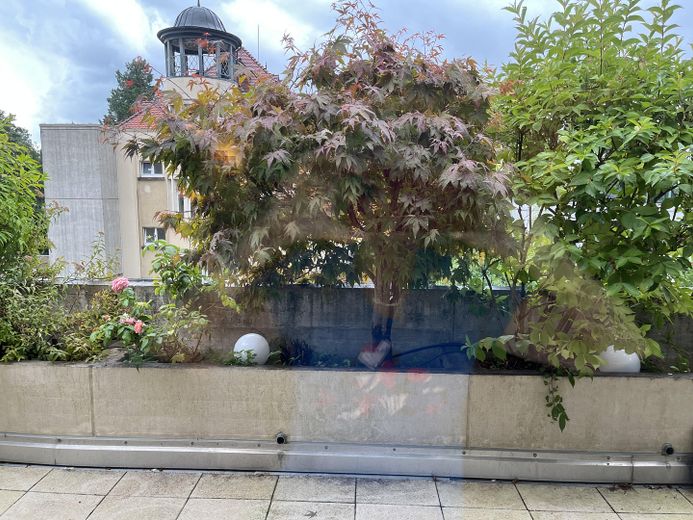 Emplacement privilégié au calme ! Appartement-terrasse de 4 pièces à FR-Neuburg – Große Terrasse (bepflanzt)