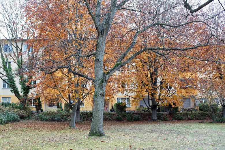 Kapitalanlage: Warum nicht zwei, wenn der Preis stimmt? .......... oder zwei für je 235.000 Euro. – Foto 2
