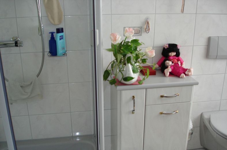 3 Zimmer Wohnung Oberasbach Altenberg – Bad mit Dusche, WC