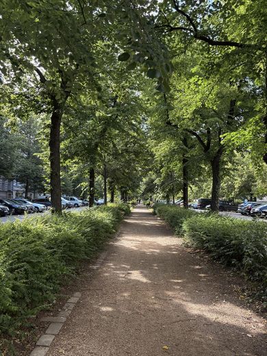 Bezugsfrei! Sonniger Altbau-Traum am Übergang Prenzlauer Berg / Mitte – Foto 13