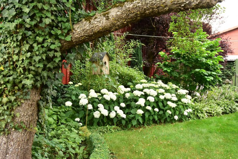 Ein Hof mit Geschichte – und Raum für neue Ideen – Gartenanlage