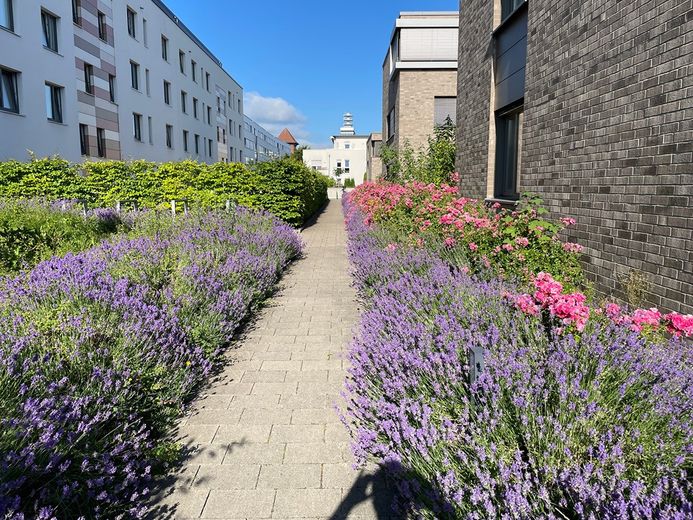 House in Bielefeld – Foto 16