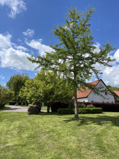 Einfamilienhaus auf großem Grundstück – Foto 31