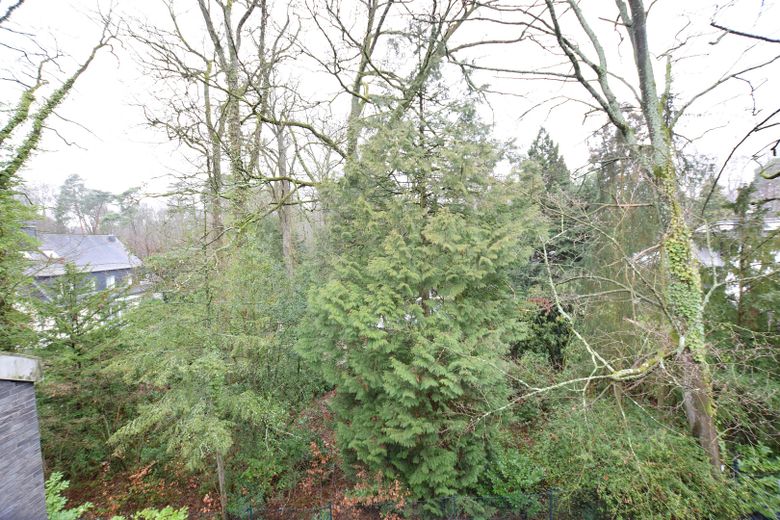 Wysokiej klasy apartament typu penthouse w dzielnicy willowej Frankenforst (Bergisch Gladbach) – Aussicht