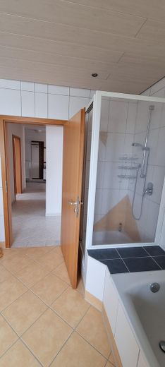 ETW (3 Zimmer/103,23qm) Neu-Ulm/Wiley - charmant, hell, in Premium-Lage(Peter Biebl Park) – kl. Bad, Dusche,WC