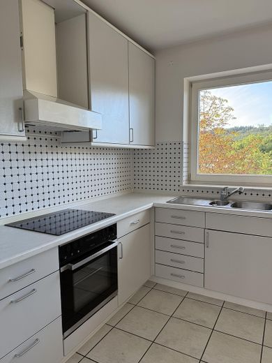 Küche Hauptwohnung 2