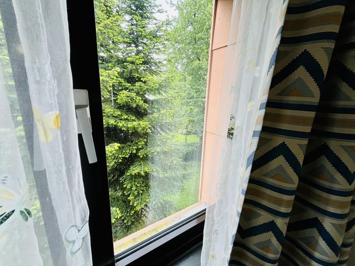 Blick in den Garten