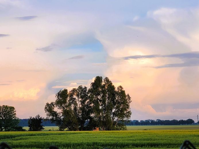 Natur 