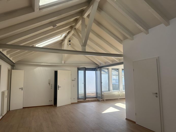 Großzügiges PENTHOUSE Mannheim Oststadt – Foto 1
