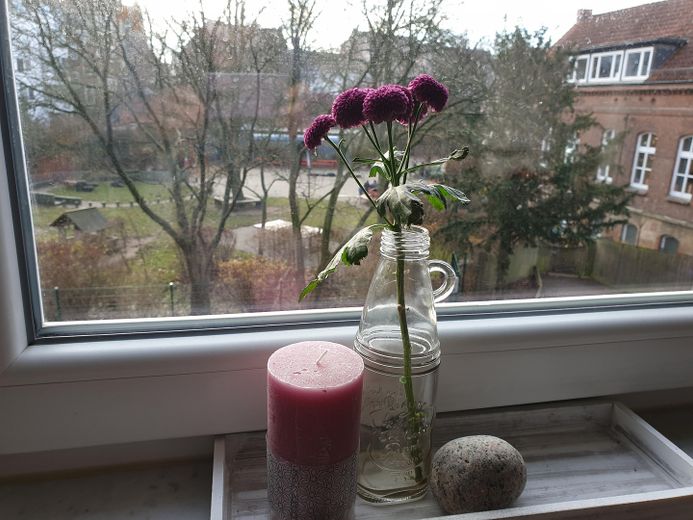 Blick vom Wohnzimmer nach Süd