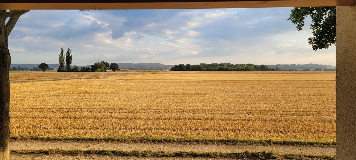 Casa da sogno in posizione eccellente a Gaimersheim – Blick aufs Feld