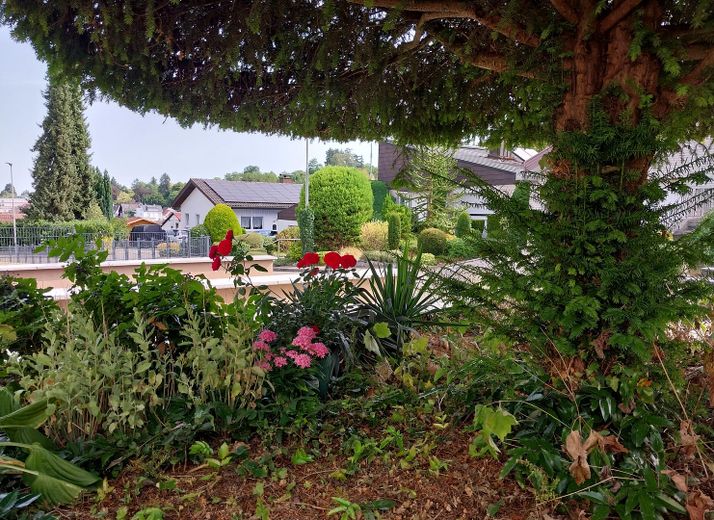 Casa unifamiliar independiente en más de 1.000 m²: tranquila, soleada, con sótano de uso versátil, cerca de Friburgo – Gewachsene Gartenanlage