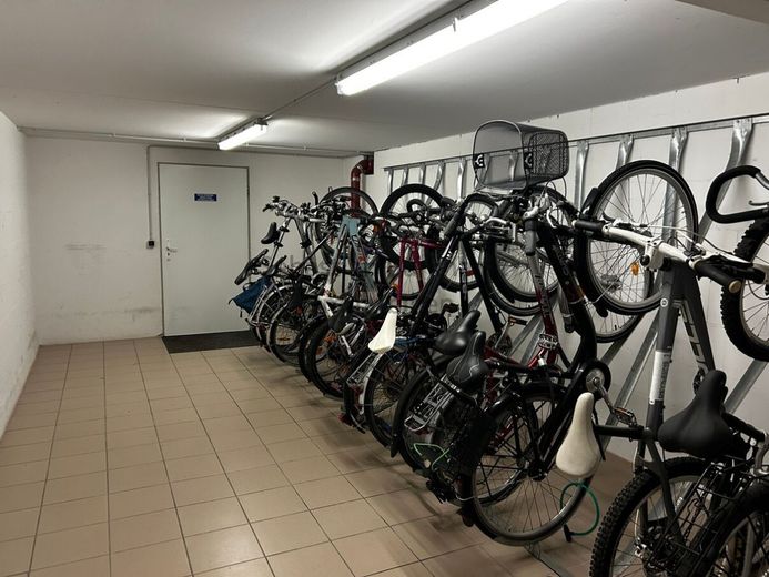 *** vermietete 3-Raum Wohnung mit Balkon und Stellplatz – Keller_Fahrradstellplatz