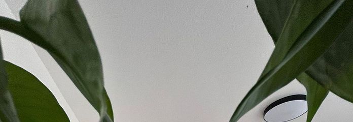 Beispielbild / nicht möbliert 