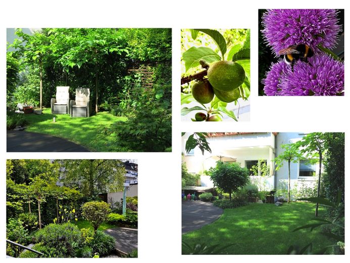 Grüne Wohlfühloase mit Südbalkon und wunderschönem Garten – Foto 7