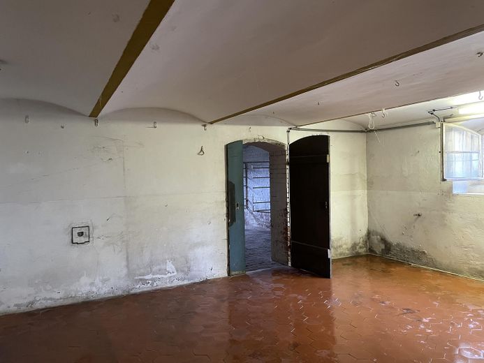 Idyllische Villa/Mehrfamilienhaus in grünem Erholungsort (Harz) - mit Ausbau-/Investmentpotential – Souterrain ehem. alte Küche