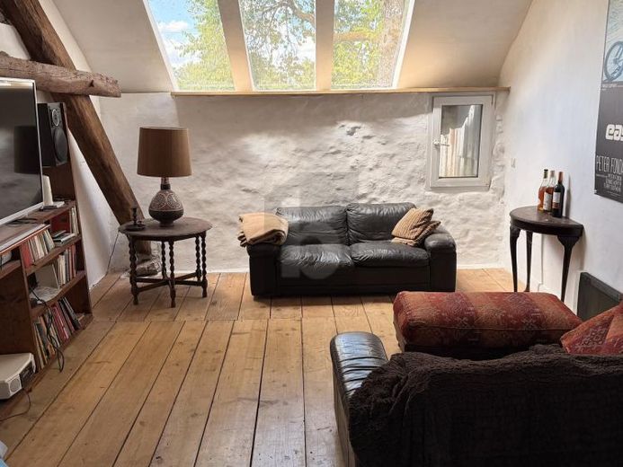 COZY HOME WITH SPECIAL CHARACTER – Photo 1
